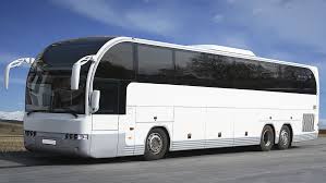 Buses